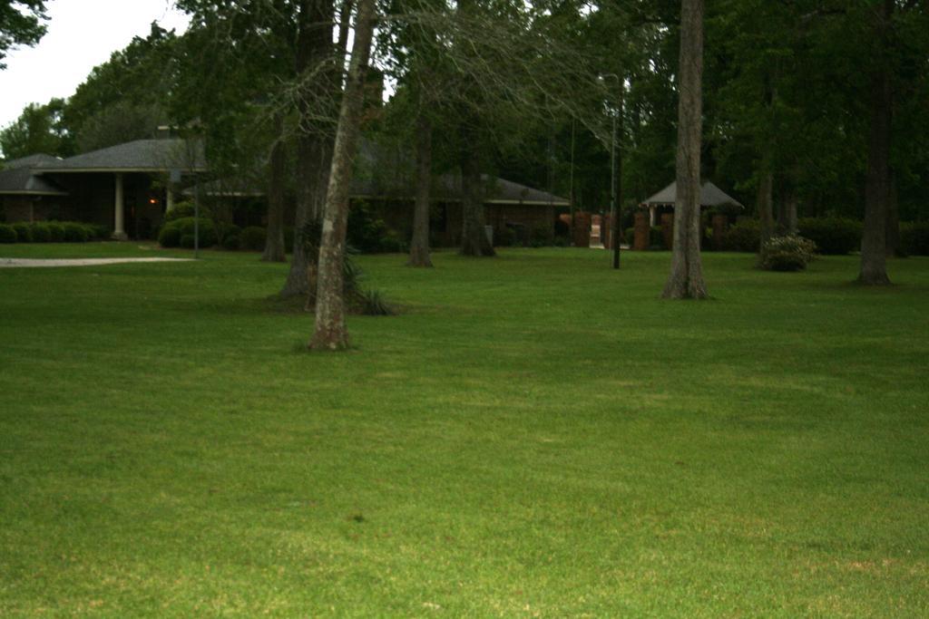 Louisiana Cajun Mansion Bed & Breakfast Youngsville Exterior photo